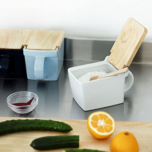 テネラ　ソルトボックス Zero Japan Salt Box Ceramic Kitchen Container White 420ml