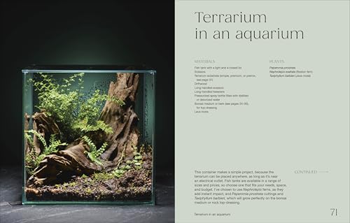Hello Tiny World: An Enchanting Journey into the World of Creating Terrariums - Image 4