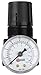 Coilhose Pneumatics MR2-G-CS 1/4" Mini Regulator With Gauge