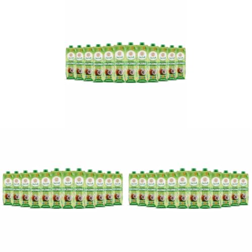 Image of Only Earth Coconut Drink | Best for Coffee, Tea, Cereals, Shakes or As Is | 40% Coconut Water + 59% Coconut Milk | Dairy Free | Unsweetened | Plant-Based | Source of Calcium | Preservatives Free | No Added Sugar | No Trans-Fat | Thai Coconuts (Pack of 36)