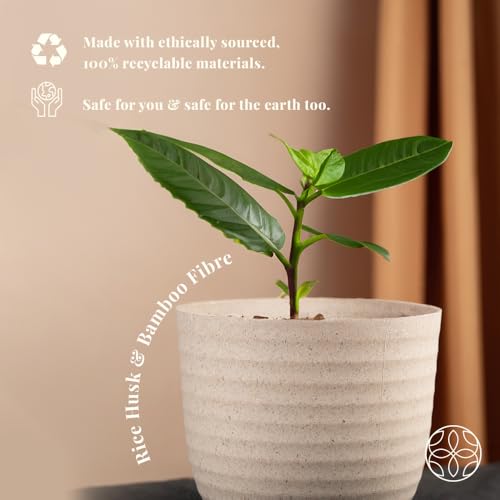 Image of Irida Naturals Set of 4 Rice Husk Peony 4 inch Pots & Planter | Unbreakable, Eco-Friendly, Biodegradable, BPA-Free | Lightweight, Indoor Outdoor Plant Pots for Home and Garden | Multi Color