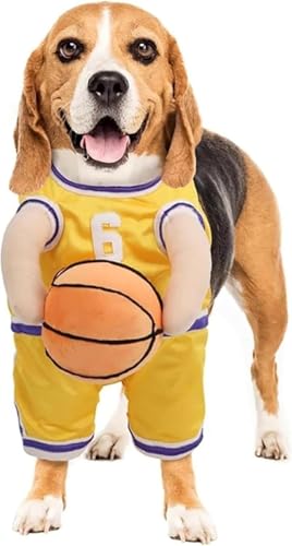 Tuyiutm ̃RX`[AϑA^ƒ^p̃oXPbg{[RX`[AnEBA񑫕sA[vCRX`[AhAgAWvX[cA{[t (2,M)