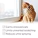 Comfort Zone Cat Calming Collar: 1 30-Day Calming Collar; Cat Pheromones Help Anxiety, Reduce Stress, Urine Marking, Scratching; Indoor or Outdoor Cats; Long-Lasting