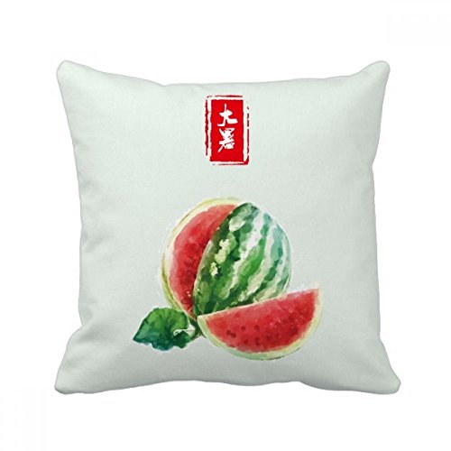 Coussin Solaire Term de canapé 40x40cm, cadeau déco idéal - 2
