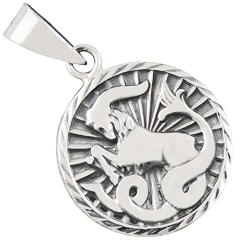 Pendentif Capricorne argent 925 bijou astro tendance