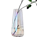 Ins Style Vasen - perfekte zeitgenössische Kunstdekoration für Ihre Küche, Ihr Ess- und Wohnzimmer, Ihr Büro. Ein tolles Geschenk für Weihnachten, Thanksgiving, Hauseinweihung, Hochzeit und Jubiläum.