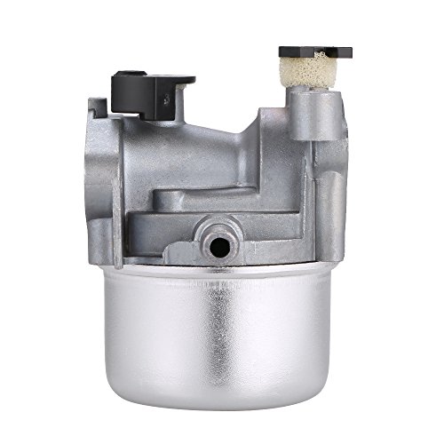 RuleaxAsi Carburador Carb Para Briggs & Stratton 799871 790845 799866 796707 794304