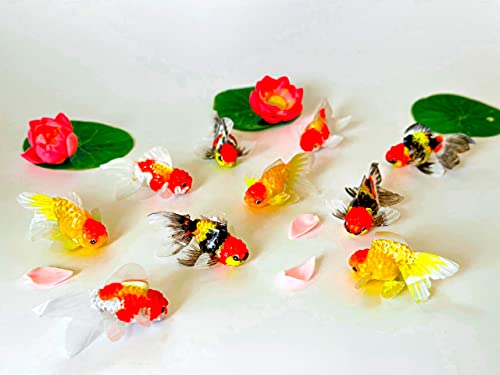 Handmade High Quality Ranchu Gold Fish Figurines - Unique Gifts for Fish Lovers - Office & Aquarium Ornament - Collectibles & Décor (MINI Collection, Random)