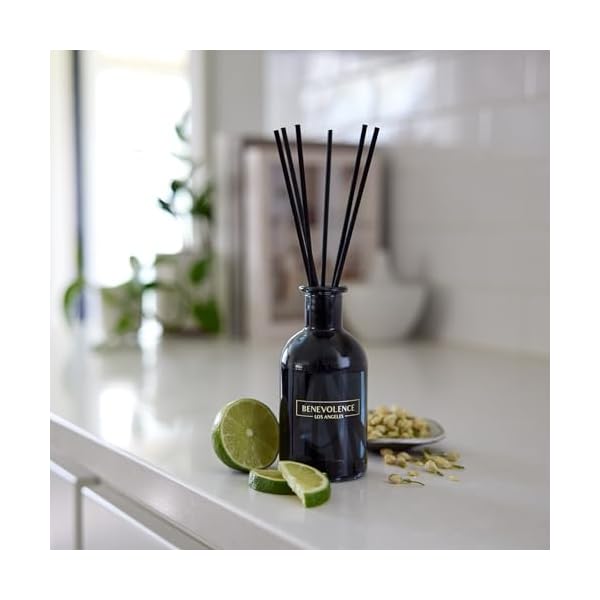   Benevolence-LA-Reed-Diffusers-for-Home-Bergamot-Jasmine-Relaxing-Fragrance-Aromatherapy-Reed-Diffuser-Sticks-with-Gift-Box-Scented-Sticks-for-Bathroom-Home-Decor