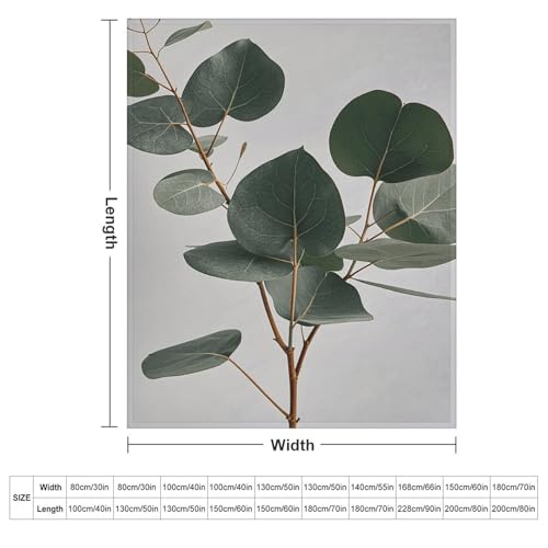 Couverture flanelle douce eucalyptus : l'élégance d'un jeté de lit chic