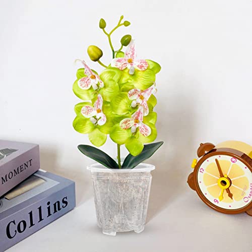 Miniatura 6 de 6 Macetas Transparentes Para Orquídeas, Macetas De Plástico Transparente Con Agujeros De Drenaje, Para Orquídeas, Macetas De Plástico Con Ranuras Transpirables, Macetas De Vivero Para Orquídeas,