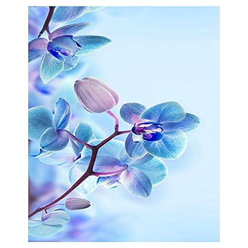Peinture diamant orchidée 5D kit complet grand format 40x80cm pour broderie strass à la maison