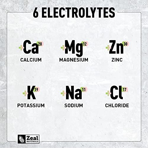 Image of Zeal Electrolyte Powder - 90 Servings | Keto Electrolytes Powder | Zero Sugar, BCAAs, B-Vitamins | Potassium, Zinc, Magnesium | Hydration Powder Recovery Drink | Strawberry Kiwi