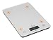 Beautiful 11lb/5kg Digital Multifunction Tempered Glass on Stainless Steel Kitchen Food Scale by Wasserstein