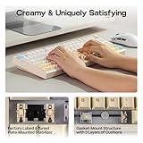 EPOMAKER Galaxy100 Lite QMK/VIA Aluminum Keyboard, 8000mAh, Numpad, Wired/BT/2.4Ghz, Hot Swap, Creamy Sound, RGB, Gasket, Wireless Gaming Keyboard (Creamy White, Wisteria Linear Switch) - Image 5