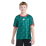 adidas Boys Short Sleeve Printed World Cup Soccer Top, Bold Green, L(14/16)
