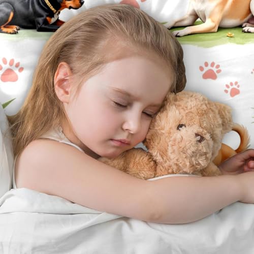 Fundas de almohada decorativas de terciopelo suave 50x50 6