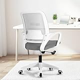 NEO CHAIR Office Chair Ergonomic Desk Chair Mesh Computer Chair Lumbar Support Modern Executive Adjustable Rolling Swivel Chair Comfortable Mid Black Task Home Office Chair (Grey)