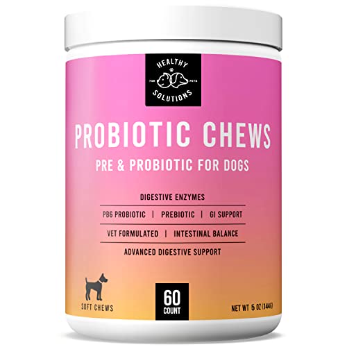 Top 10 Best Digestive Enzymes For Dogs Reviews & Buying Guide Katynel