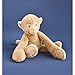 Histoire d'ours Imagen de Histoire d'ours
