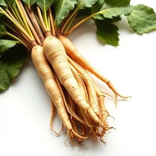 Semillas de plantas de ginseng, 60 piezas, color marrón