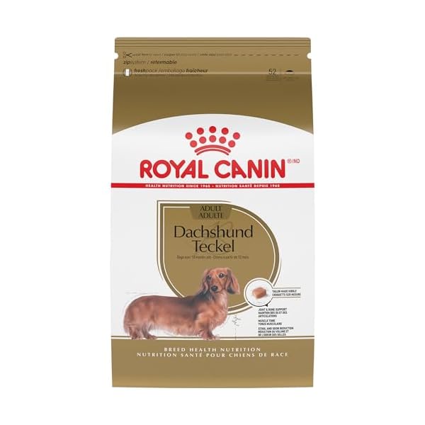 Royal Canin Dry Dog Food, Dachshund Formula, 10-Pound Bag by Royal Canin