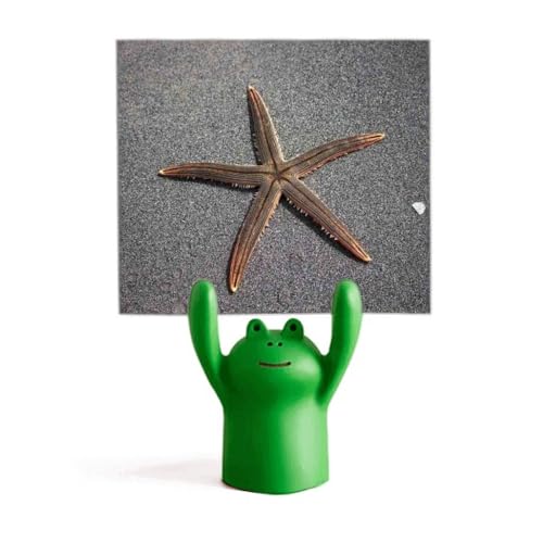 Support mural gris grenouille et étoile de mer adhésif sans perçage
