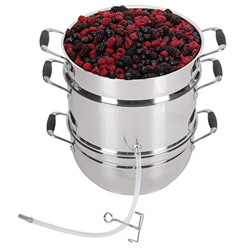 Roots & Branches Deluxe Stainless Steel Steam Juicer with Tempered Glass Lid VKP1150