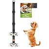 FOLKSMATE Dog Doorbells for Potty Training, Buckle Adjustable Puppy Dog Door Bells with Extra Loud Bells for Dogs Training, Housebreaking, Door Knob, Ring to Go Outside Puppy Pet Supplies Black