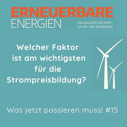 Welcher Faktor ist am wichtigsten f&uuml;r die Strompreisbildung?