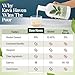 Kava Haven Non Alcoholic Spirit, 750mL Bottle | Kava Kava Drink | Non Alcohol Alternative Spirit for Mixed Drink Recipes | Low Calorie | All Natural | - Lemon Ginger Flavor (17 Servings)