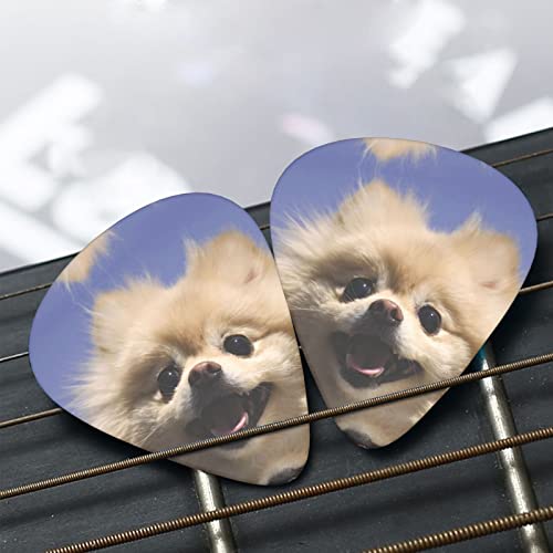 Ensemble de 12 médiators de guitare de Poméranie mignons pour guitare acoustique, guitare électrique, contrebasse… - Les Beatles, Paul McCartney, John Lennon, RIngo Starr, George Harrison Ensemble de 12 médiators de guitare de Poméranie mignons pour guitare acoustique, guitare électrique, contrebasse… – Image 8