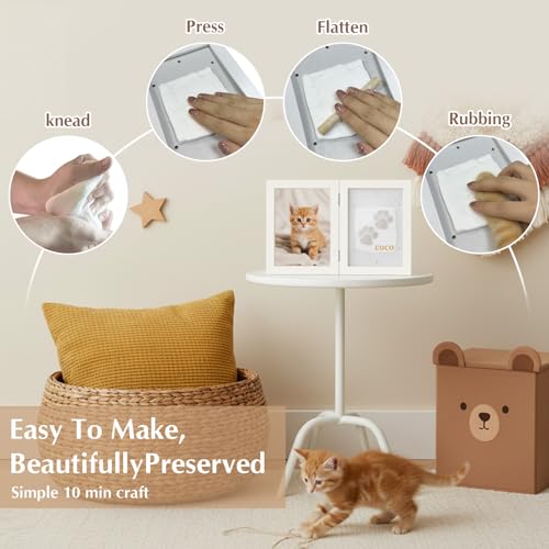Kit Fiesta para Perros y Gatos con Sombrero y Accesorios miniatura 4