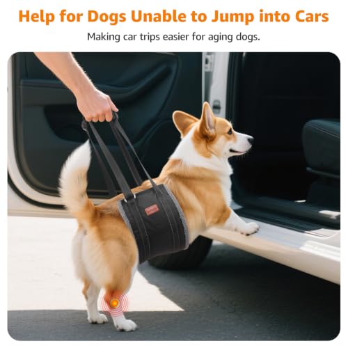 Image of LOOBANI Dog Sling for Large Dogs Hind Leg Support to Help Lift Rear Legs