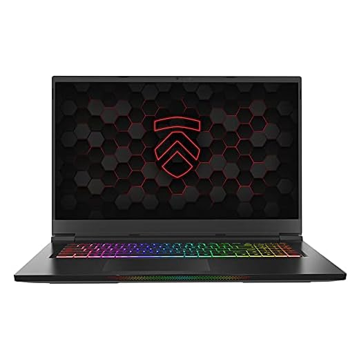 Eluktronics MAX-17 Covert Gamer QHD 165Hz Gaming Laptop PC: Liquid Metal Intel i7-10875H 8-Core NVIDIA GeForce RTX 3070 17.3" Calibrated Display Windows 10 Home 1TB PM991 NVMe SSD & 32GB DDR4 RAM