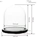 WHOLE HOUSEWARES | Decorative Clear Glass Dome | Cloche Glass Dome for DIY Snow Globes | Tabletop Centerpiece | Cloche Bell Jar Display Case | Black MDF Base, 5.9