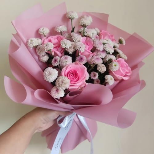 Image of Oasis Gift Wrapping Frosted Cellophane Roll For Multipurpose Hamper Packaging & Flower Bouquet Wrapping, 80cmx25mtr, 1 Roll (Pale Pink)