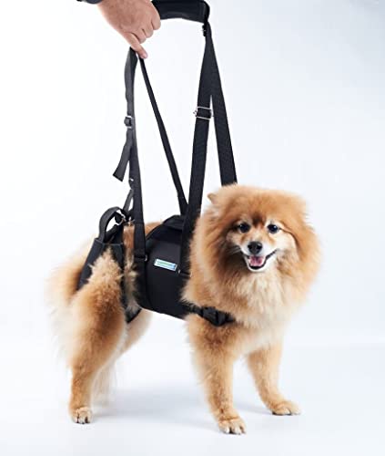 Suporte Peitoral Cachorro Deficiente Andar Suporte Patas Traseiras Auxiliar Tam. Xp A GG (P)