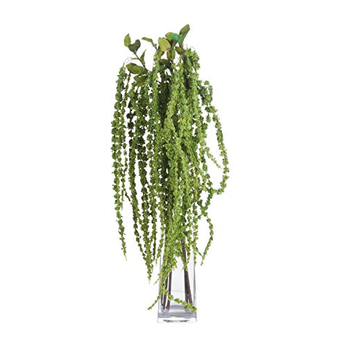 Green Amaranthus, Mixed, 15 x 15 x 100cm
