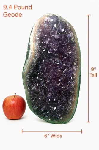 Image of Extreme Rocks & Fossils Superior Best Amethyst Cluster (Deep Purple Amethyst, Unique Specimens 10+ lbs)