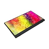 mate 10 pro unieuro COMPLETAMENTE COMPATIBILE: il monitor portatile USB C è compatibile con per Honor note10 mate10 mate10pro P20 P30 P30Pro P20pro mate20 mate20x mate 20RS, per Nut R1 Pro2s, per S8 S8+ S9 S9+ Note S9 S9+ Note8 Note9, ecc.