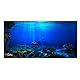 FILFEEL Aquarium Hintergrund Aquarium Dekorationen Bilder 3D Effekt PVC Adhesive Poster Unterwasserwelt Hintergrund Dekoration Papier Cling Decals Aufkleber(61x30cm)