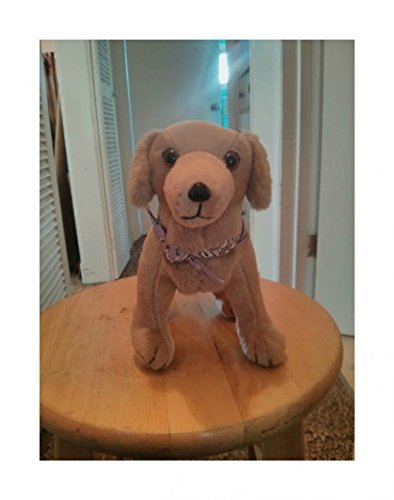 American Girl Kailey's Sandy The Dog