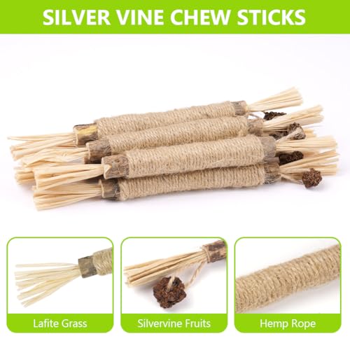 OSDUE Katzenminze Sticks, 21 Stück Matatabi Kausticks mit Ball Katzenminze Spielzeug Katzen Kauhölzer Sticks für Katzen Zahnpflege & Gegen Mundgeruch Natürlich Sicher Katzensticks Kausticks Set