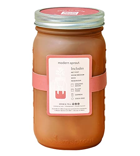 Modern Sprout Glass Jar Grow Set, Indoor Herb Garden, Seed Starter Set, Organic, Non-Gmo, Parsley #TOP1