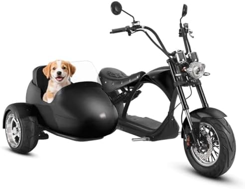 eAhora M1P Sidecar Electric Motorcycle for Adult, 2 Person Ride, 2000W Powerful Motor,40+ Miles Long Range on 60V 30Ah Lithium Battery,37MPH Hight Speed