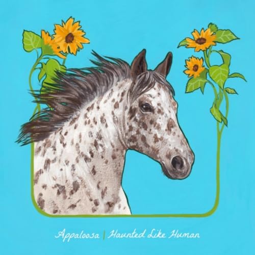  Appaloosa