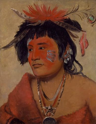 Cuadro de George Catlin para sala de estar lienzos indios americanos 60x90cm