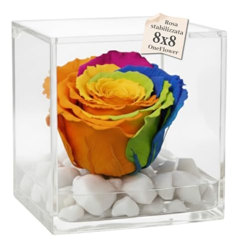 PREMIUM ROSE - Cubo Rosa Stabilizzata 8 cm con Marmo di Carrara - Rosa Eterna Stabilizzata Made in Italy - Idea Regalo per lei, Natale, Amiche, Mamma, Bambini - Multicolor 1800