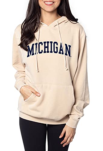 chicka-d Women's Standard Burnout Everybody Hoodie, Oatmeal, Medium